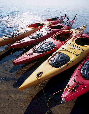 Colorful kayaks lined up on the shore, ready for a lake adventure.