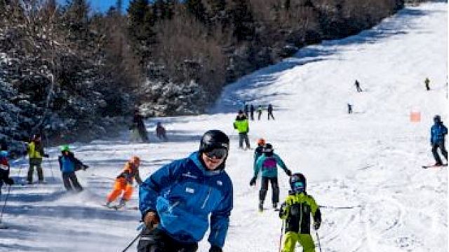 People skiing on a snowy slope with trees in the background, under a clear blue sky, wearing colorful ski gear.